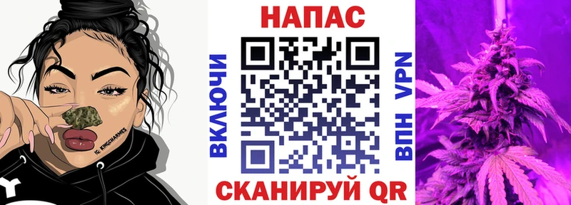 купить наркотики цена  Вольск  Каннабис конопля 